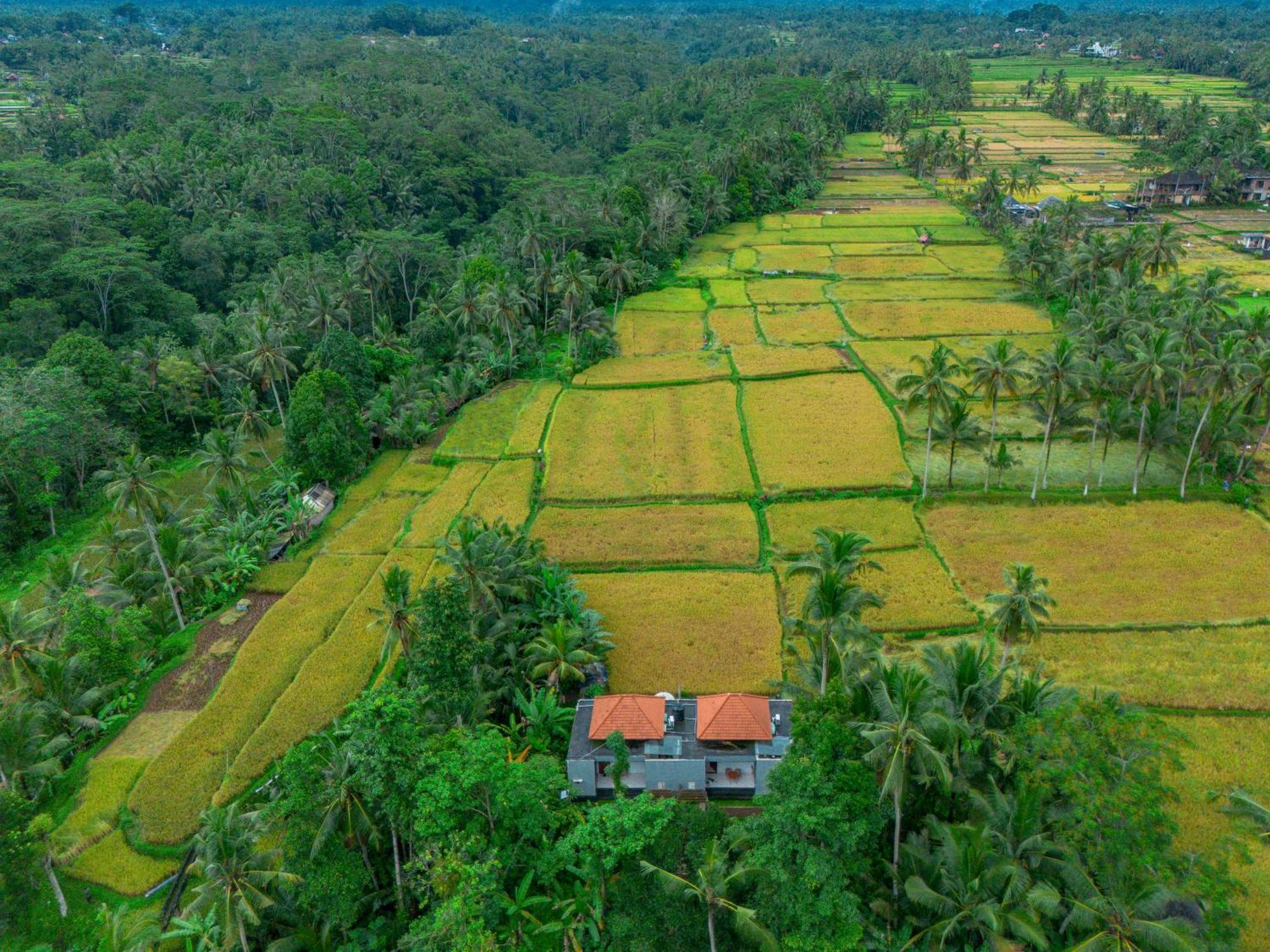 The Alus Cottage And Villa Ubud Eksteriør bilde