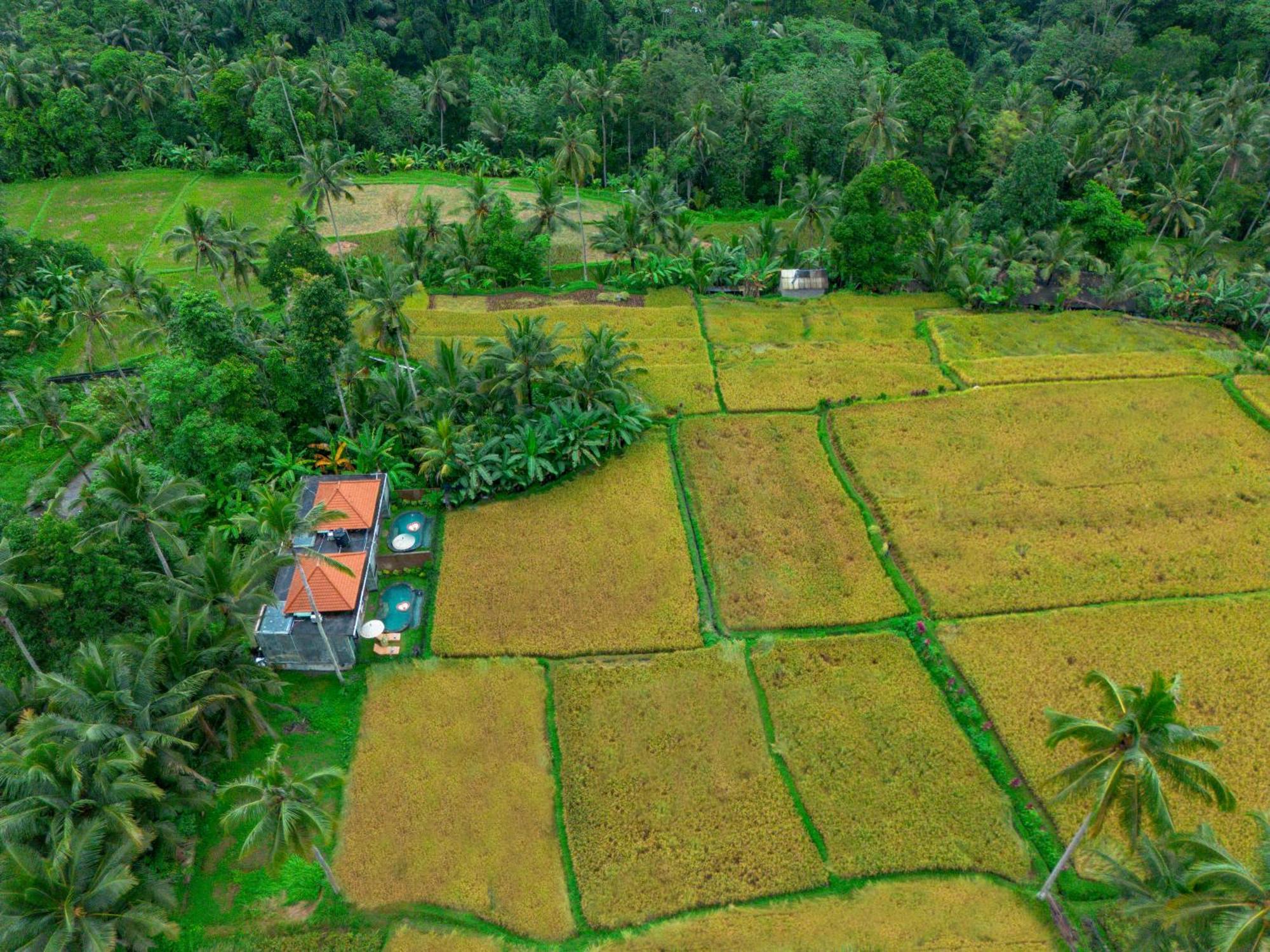 The Alus Cottage And Villa Ubud Eksteriør bilde