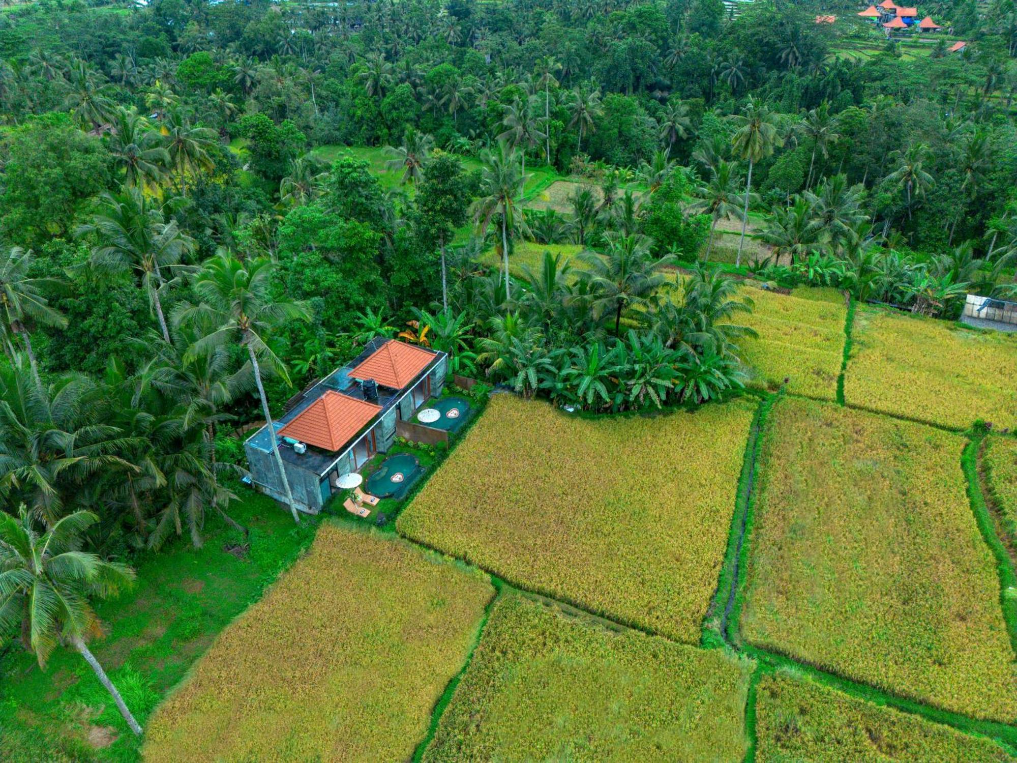 The Alus Cottage And Villa Ubud Eksteriør bilde