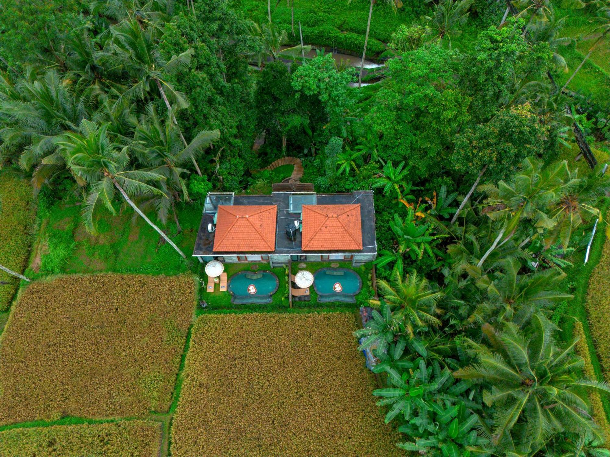 The Alus Cottage And Villa Ubud Eksteriør bilde
